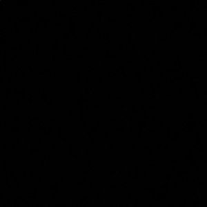 Meet your Posher, Tyisha